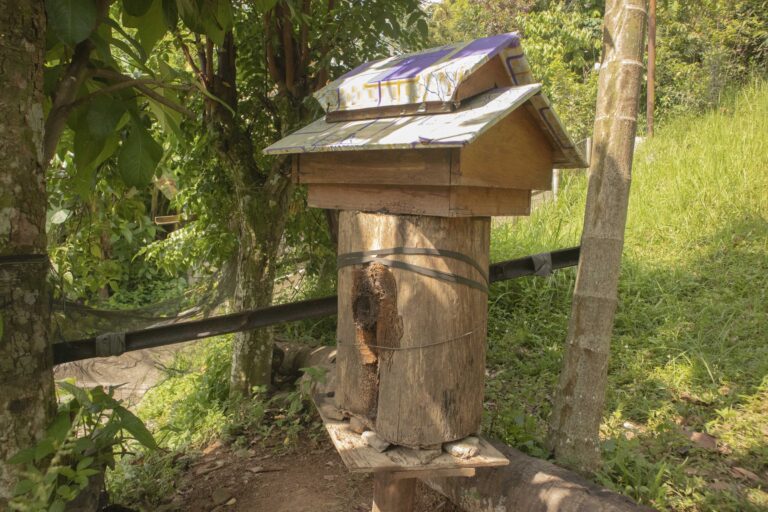 Stup-lebah-di-pekarangan-rumah-Bu-Ida-1-768x512.jpg