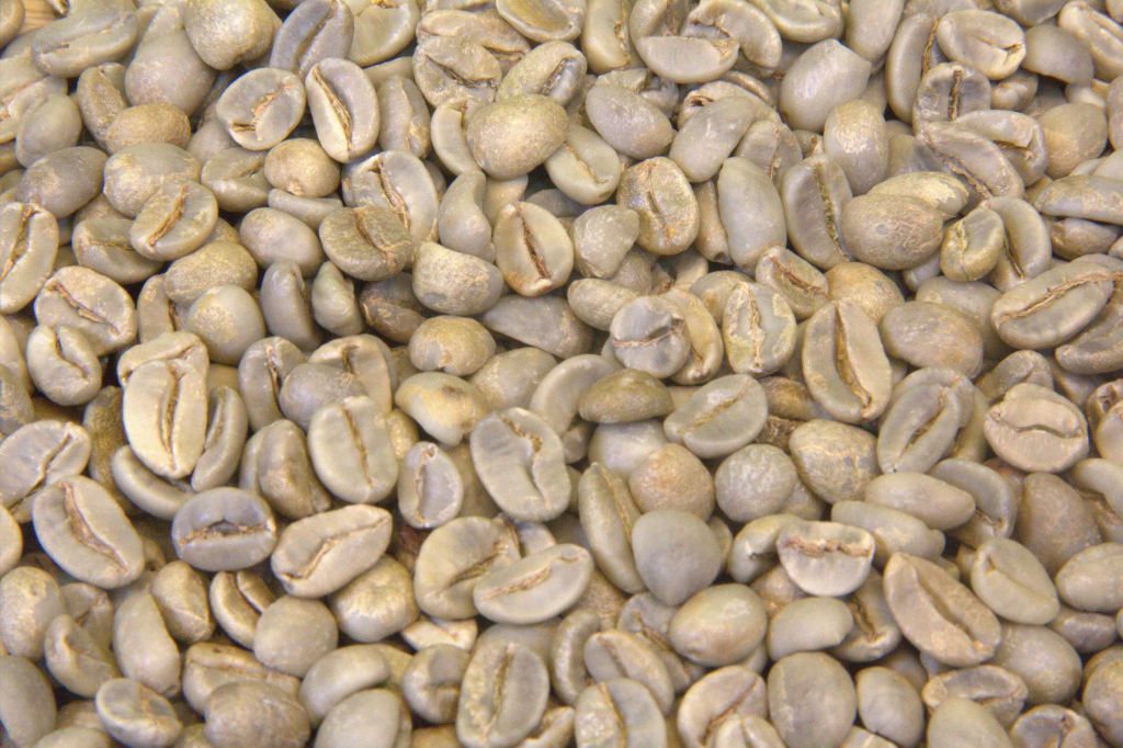 KOPI RAKYAT LABOE GEDANG, SOLOK SELATAN, SUMATERA BARAT