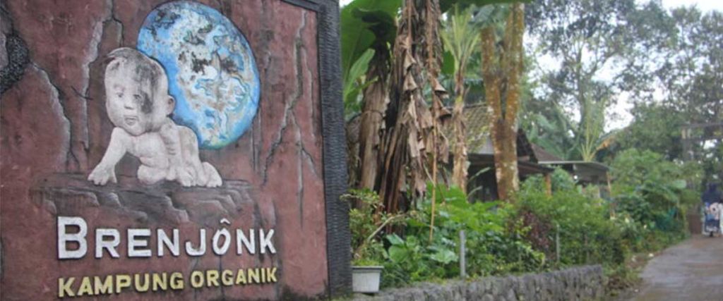 KTH ALAS Trawas: Ide Besar Mengelola Perhutanan Sosial dengan Wisata Edukasi Ekologi dan Agroforestri