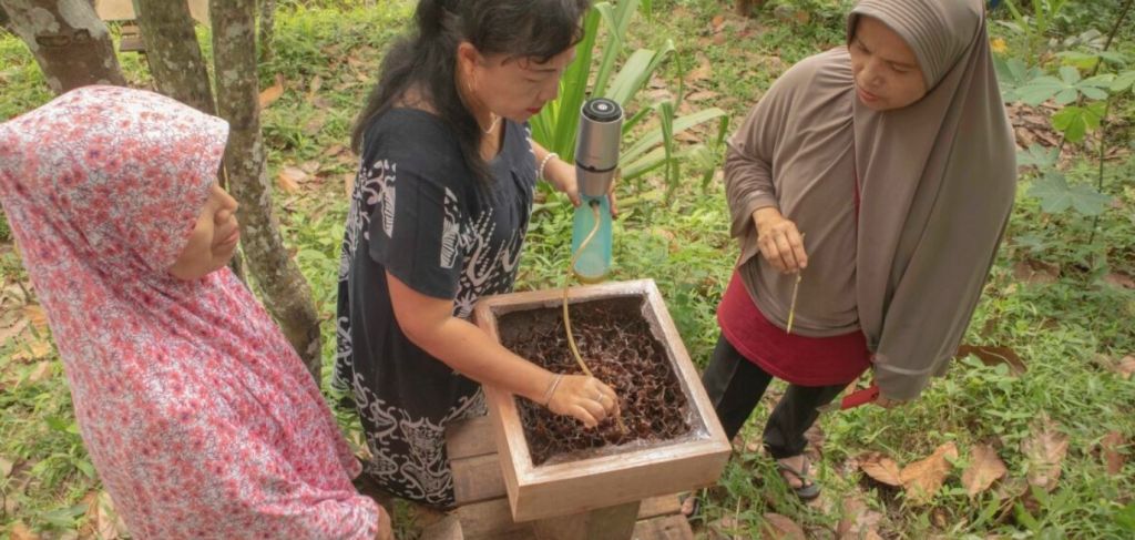 Warga Sikalang Budidaya Madu Kelulut di Tengah Ancaman Operasi Tambang Batubara